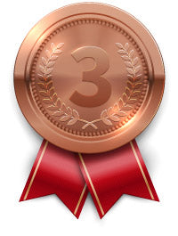 3rd Place