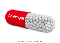 Typical  Antifungus