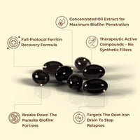 Wormwood Black Walnut Pumpkin Seed & Clove Softgels | Iron Deficiency