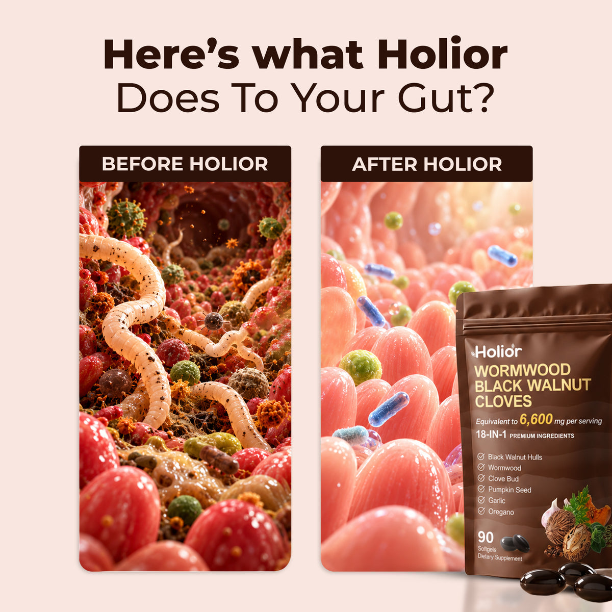 Holior Wormwood Final Bundle
